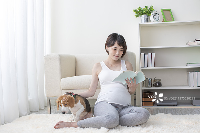 孕妇盘腿坐在地上边看书边抚摸宠物狗图片素材