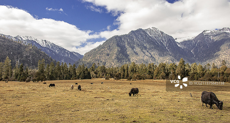 南伊沟图片素材