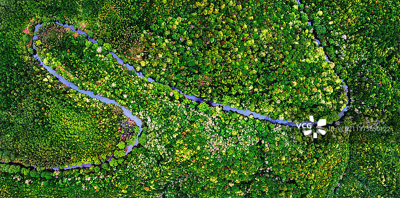 多彩蛟龙溪（2021-4-2苏燕明15959796806摄于湖村）图片素材