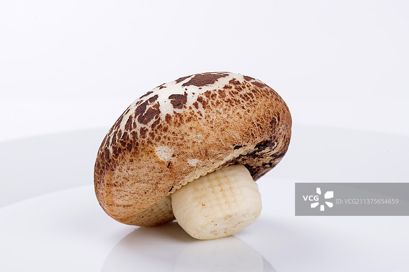 一个香菇包摆放在盘子中特写白色背景图片素材