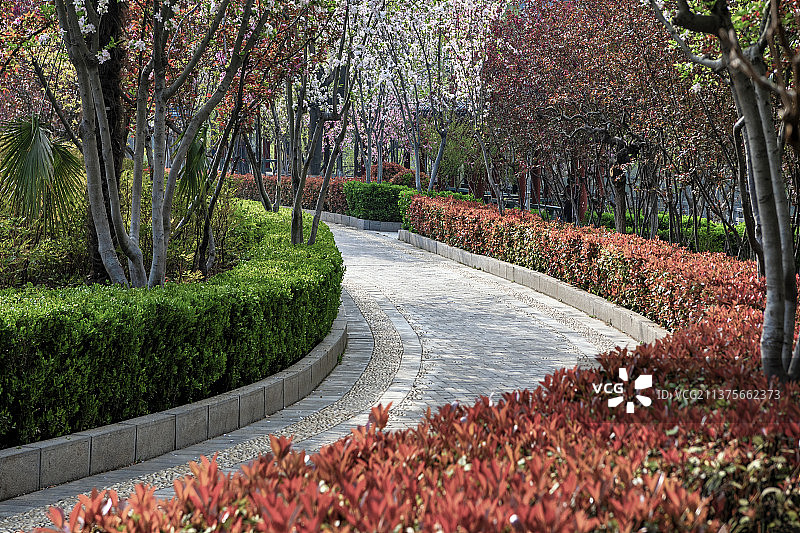 乡村振兴城市公园滨河健康步道体育设施图片素材