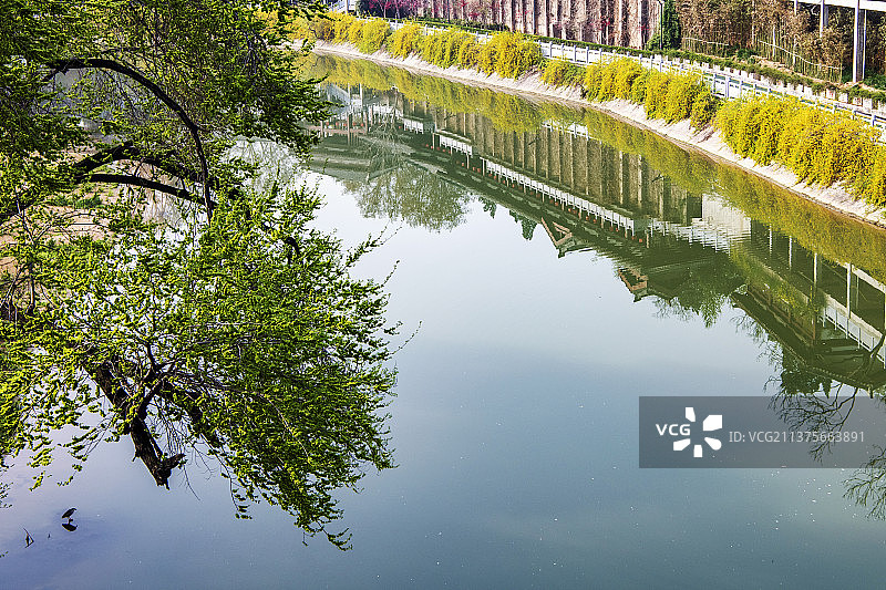 乡村振兴城市公园健康步道图片素材