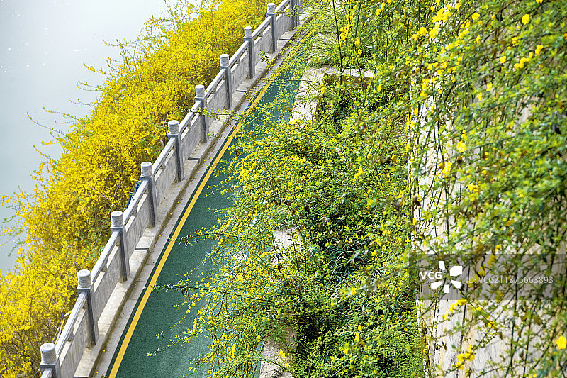 乡村振兴城市公园健康步道图片素材