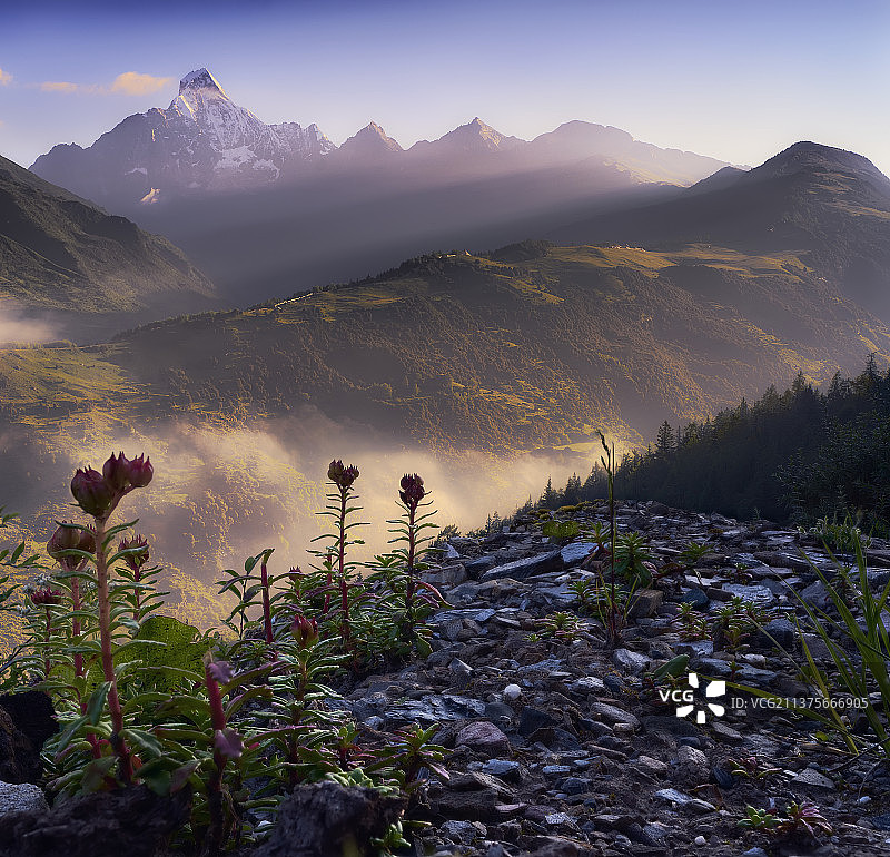 雪山的清晨图片素材