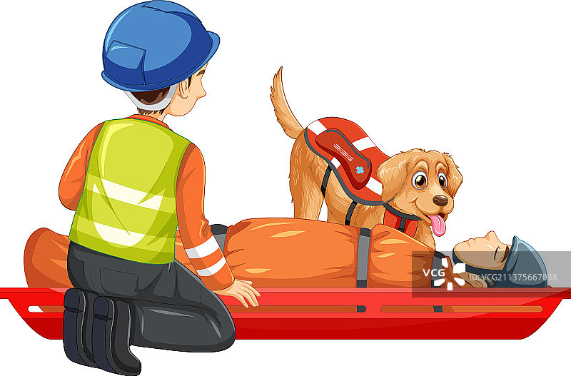 用担架救援（白色背景）图片素材