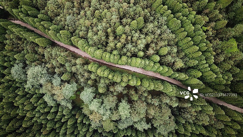 三木之路图片素材