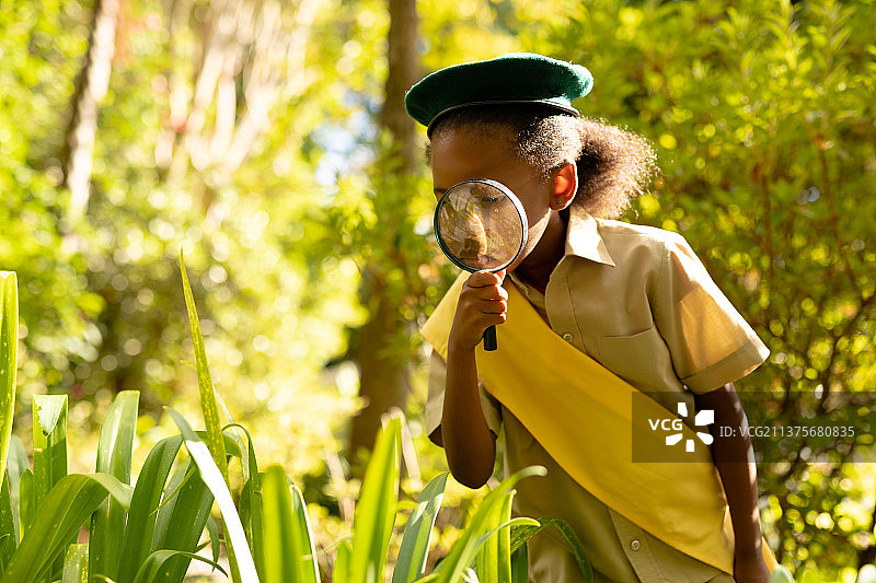 在森林里，穿着制服的非裔美国女童子军在用放大镜观察植物图片素材