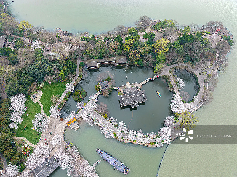 江南园林无锡市太湖鼋头渚风景区春天长春桥樱花风光图片素材