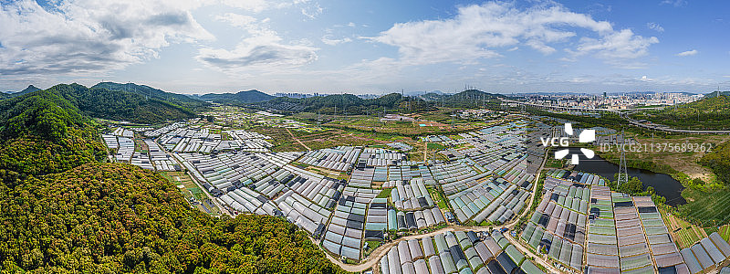 深圳光明区玉律街道玉塘社区蔬菜基地 蔬菜大棚 温室大棚 智慧农业图片素材