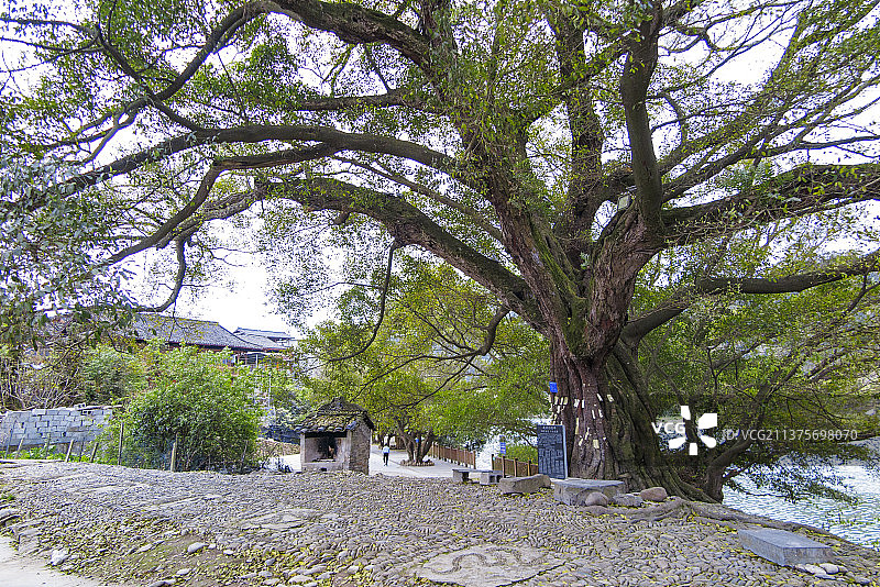 中国国家级风景名胜区天下第一侗寨贵州黔东南榕江三宝侗寨图片素材