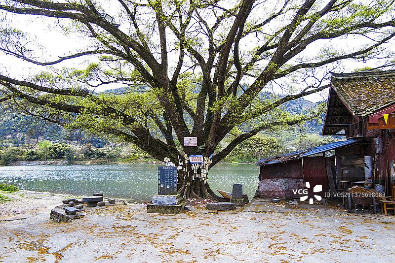中国国家级风景名胜区天下第一侗寨贵州黔东南榕江三宝侗寨图片素材