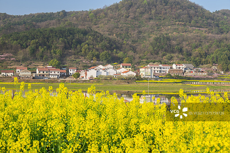 湖北黄石大冶沼山森林公园春季风光图片素材
