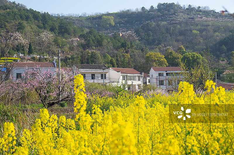 湖北黄石大冶沼山森林公园春季风光图片素材