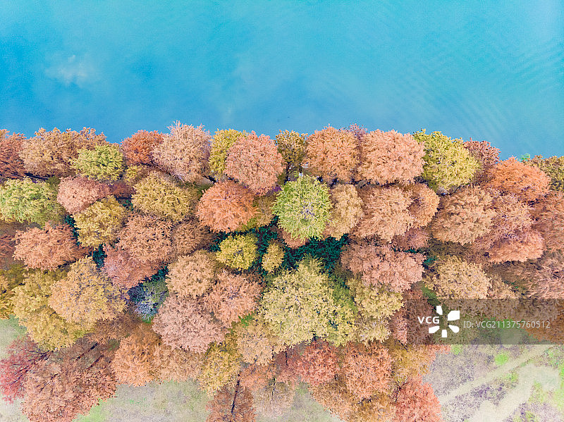 湖北武汉东湖风景区深秋初冬风光图片素材