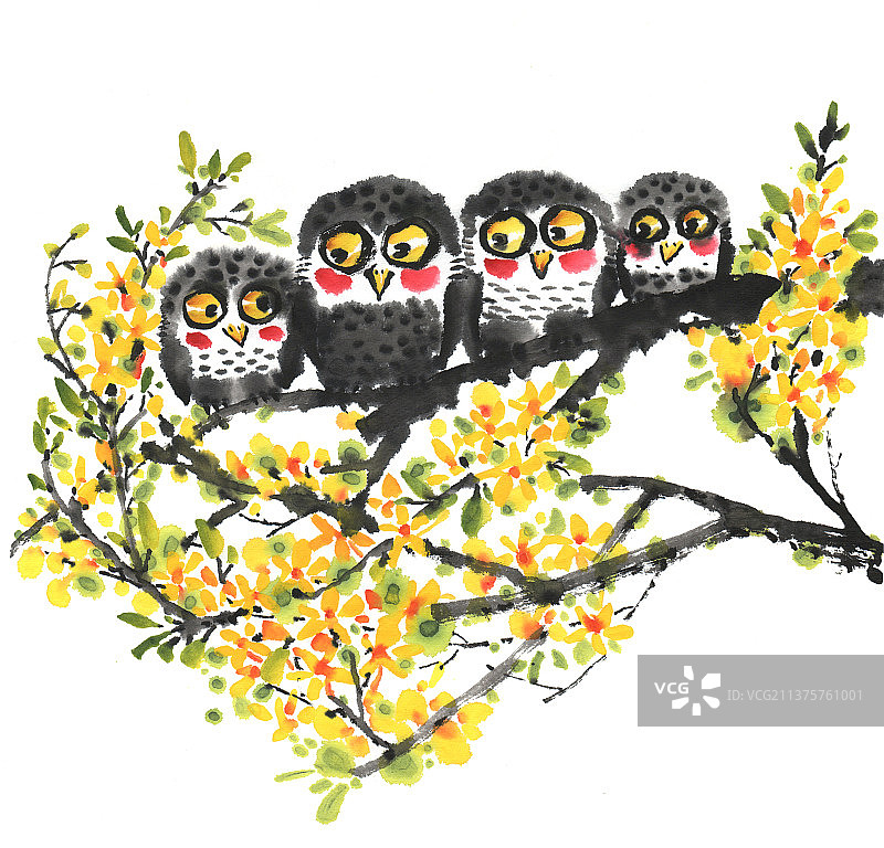 4只站在迎春花枝上的水墨鸟图片素材