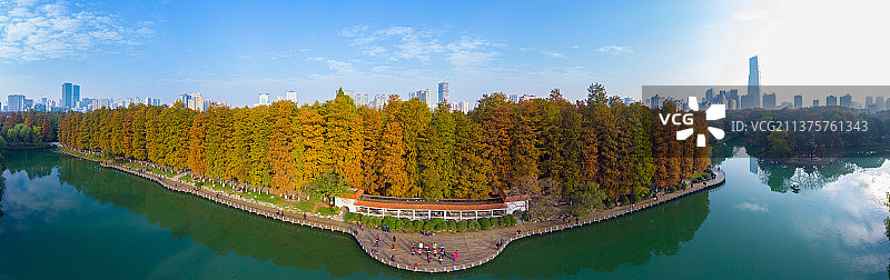 湖北武汉解放公园深秋初冬风光图片素材