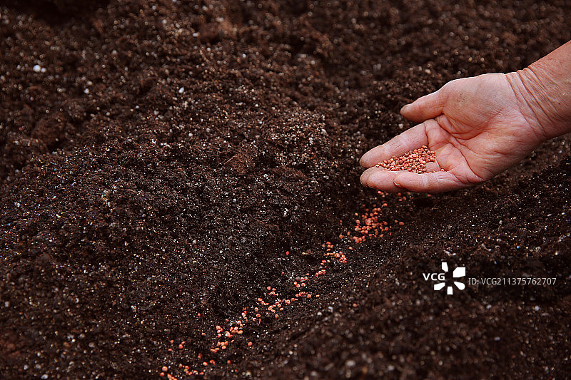 黑土地农民播撒种子图片素材