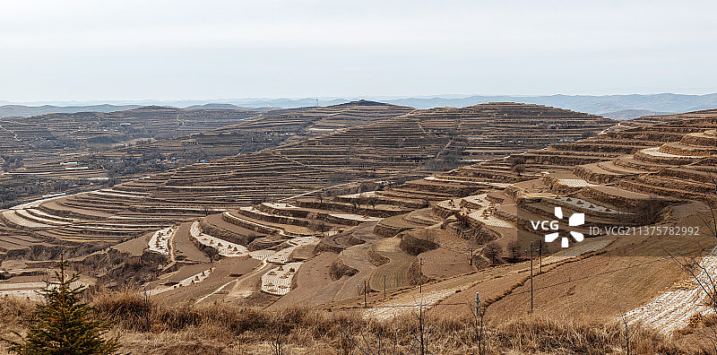 初春的黄土高原上仍然难觅一丝绿色图片素材