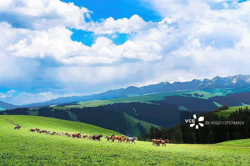 新疆喀拉峻草原图片素材