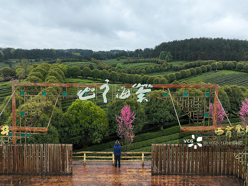 贵州省遵义市凤冈县永安镇田坝村茶海之心景区风光图片素材