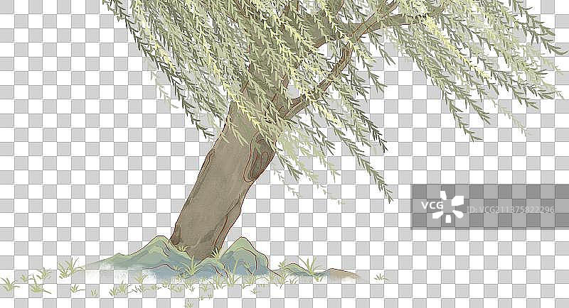 中国春天柳树柳枝国潮插画图片素材