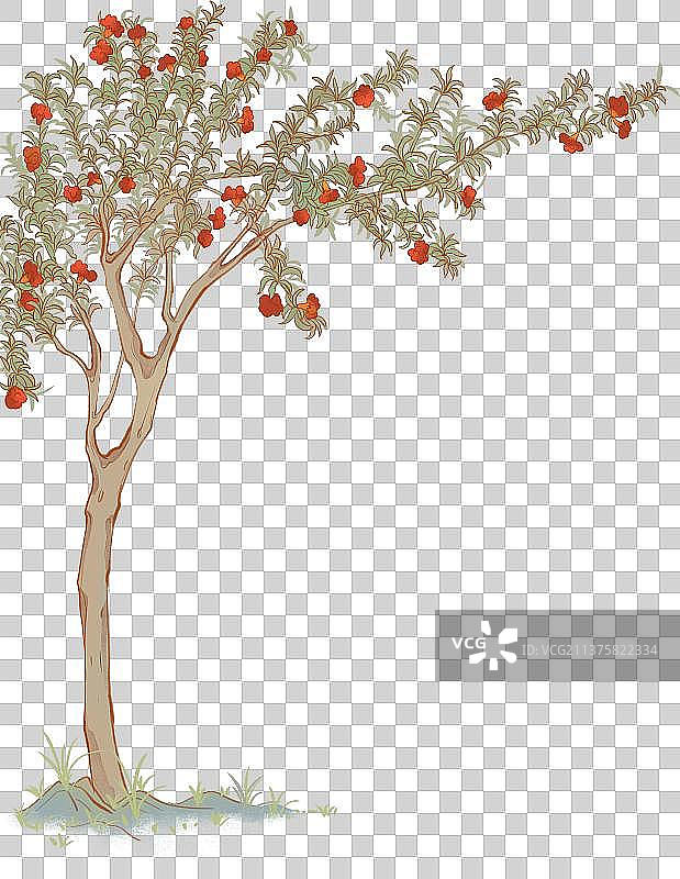中国石榴树盛开的石榴花国潮插画图片素材