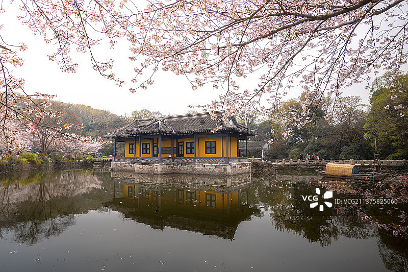古建筑与樱花图片素材