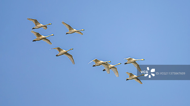 方形编队图片素材