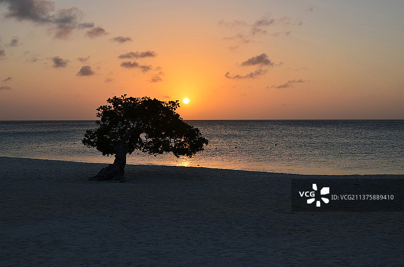 阿鲁巴鹰滩的壮丽日落图片素材