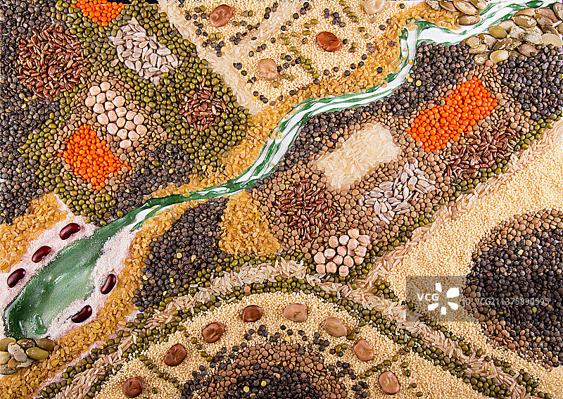 食材背景——谷物、豆类和籽类的食物地图图片素材