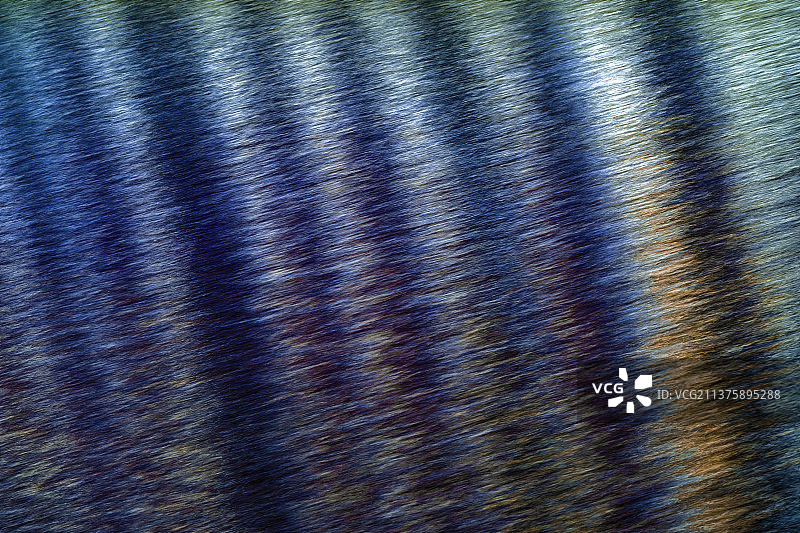 比利时登德尔蒙德蓝色条纹水面图片素材