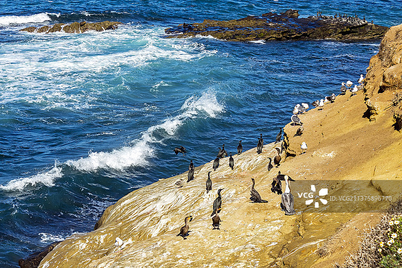 圣地亚哥的鸬鹚，海滩上的人们（高角度拍摄）图片素材