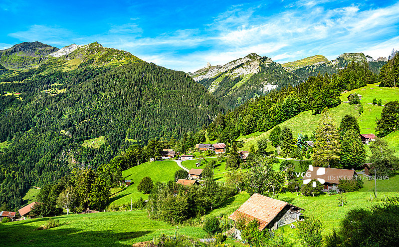 瑞士翁根的传统木屋，树木和房屋的风景图片素材