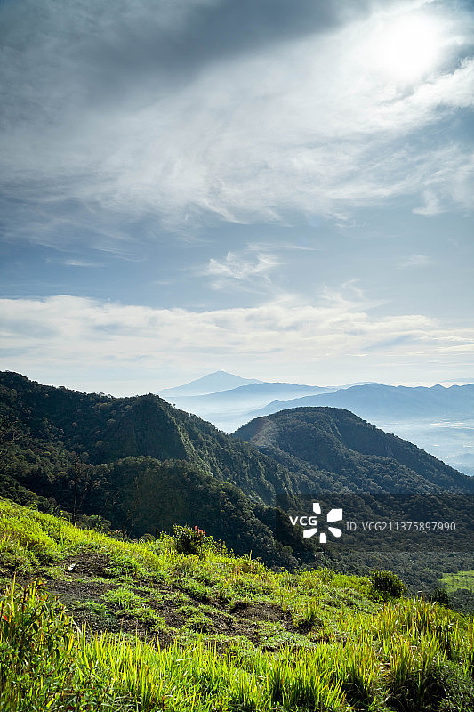 印度尼西亚山脉与广阔的绿色草地图片素材
