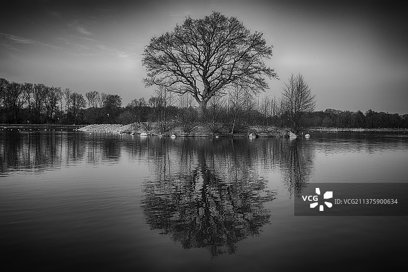 丹麦欧登塞的湖泊景观树木图片素材