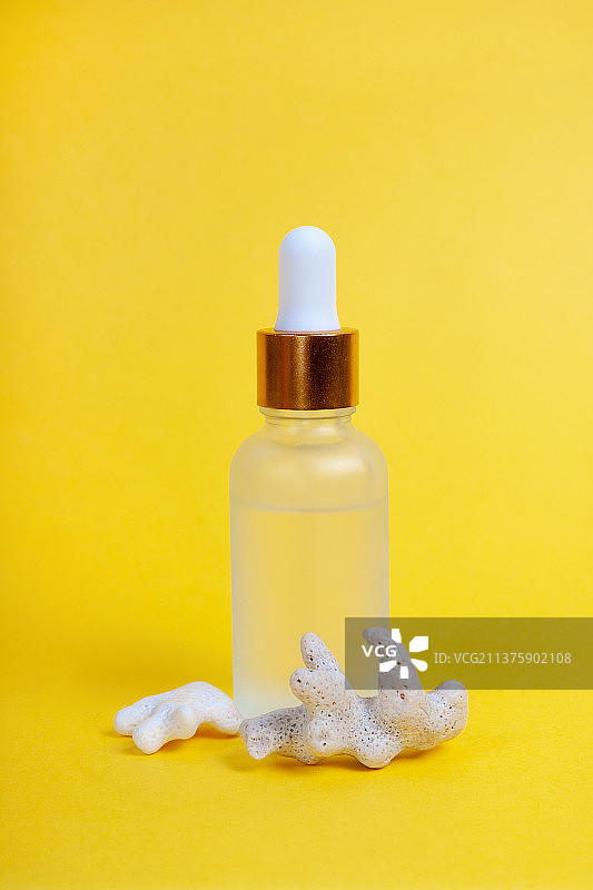 玻璃滴管瓶中的面部护理品，黄色背景上带有海珊瑚图片素材