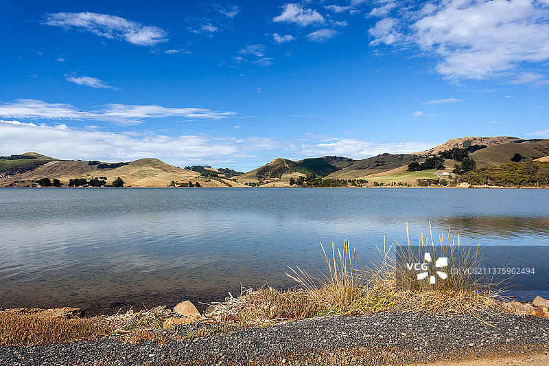 新西兰达尼丁附近的奥塔哥半岛，新西兰图片素材