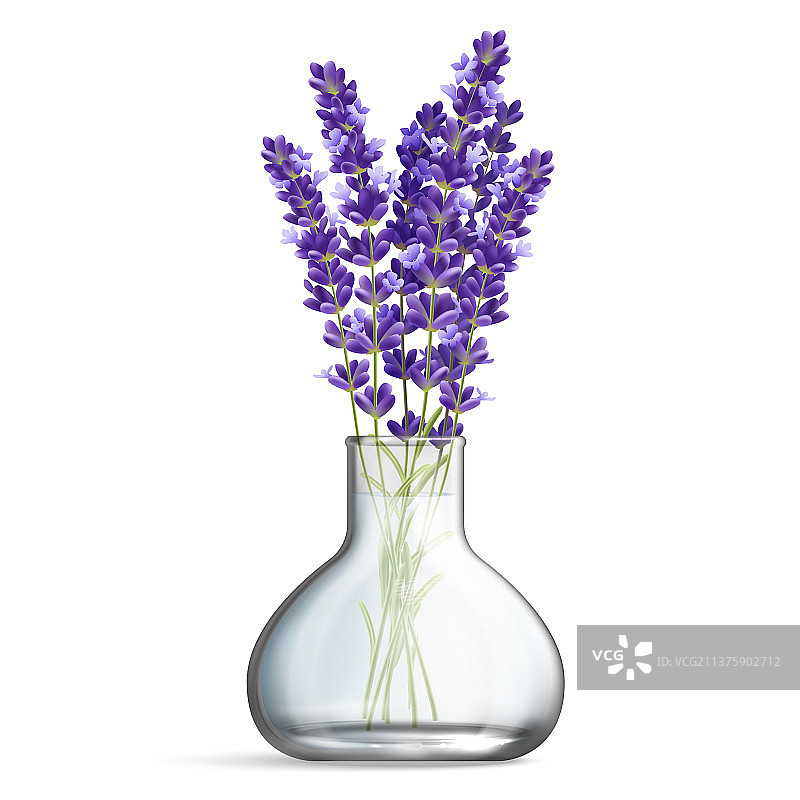 薰衣草玻璃花瓶图片素材