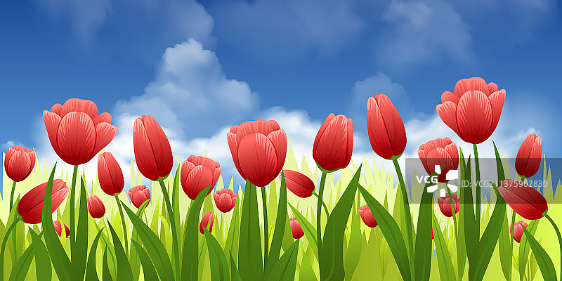 红色春季花卉构图图片素材