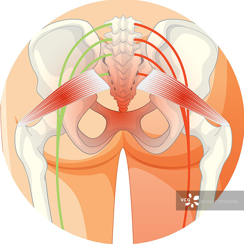 患有强直性脊柱炎的下背部图片素材