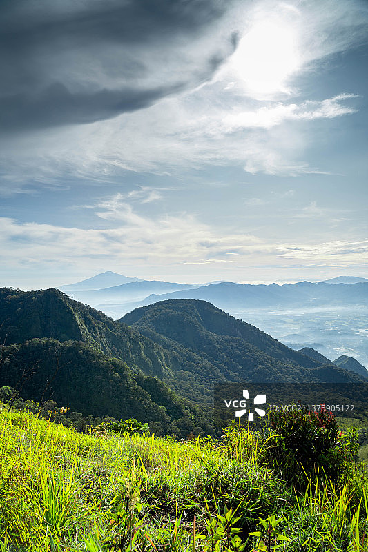印度尼西亚山脉与广阔的绿色草地图片素材