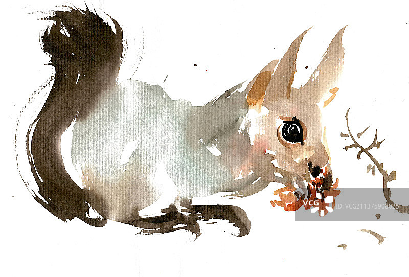 吃松果的松鼠图片素材