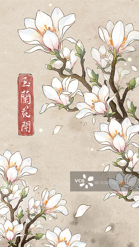 春天玉兰花开放插画图片素材