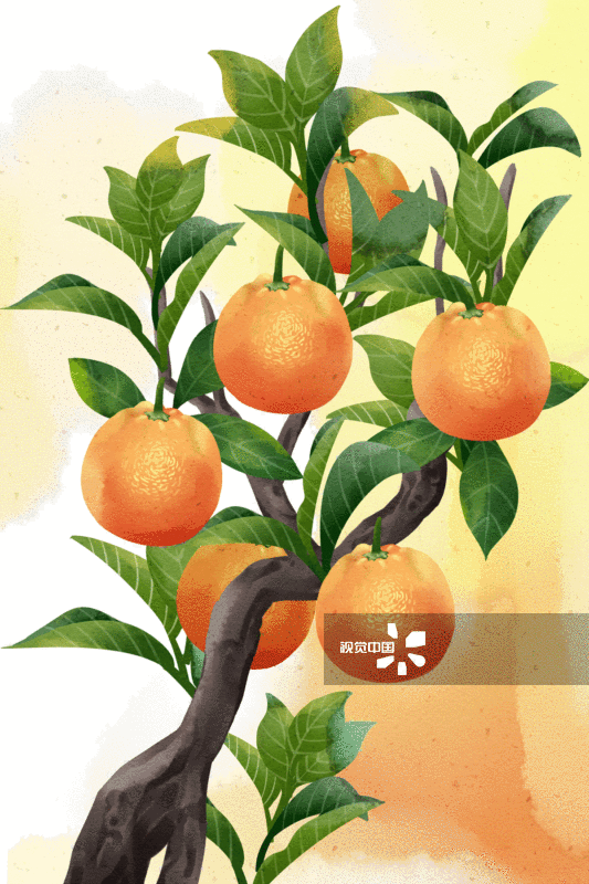水彩柑橘GIF动图图片素材