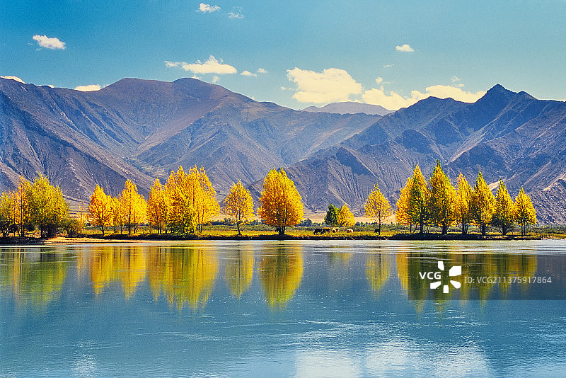 西藏拉萨河秋色图片素材