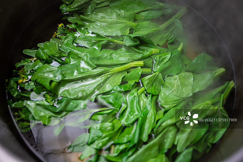 焯水做干菜的白菜苔图片素材
