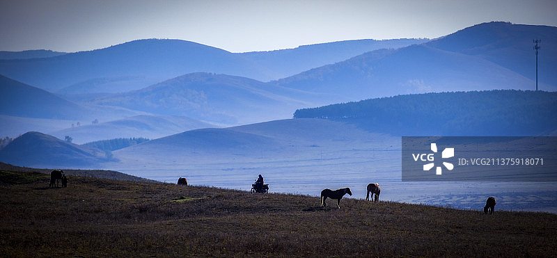 塞罕坝位于河北省承德市围场满族蒙古族自治县境内图片素材