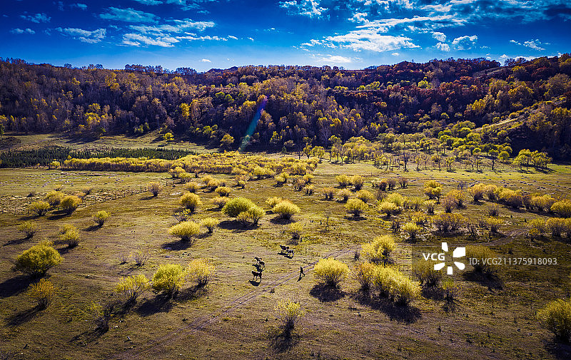 塞罕坝位于河北省承德市围场满族蒙古族自治县境内图片素材
