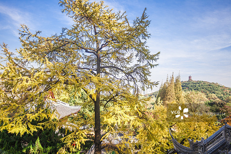 江南名园——寄畅园图片素材