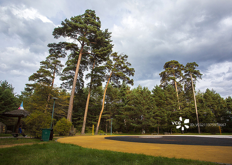 二道白河镇美人松公园图片素材